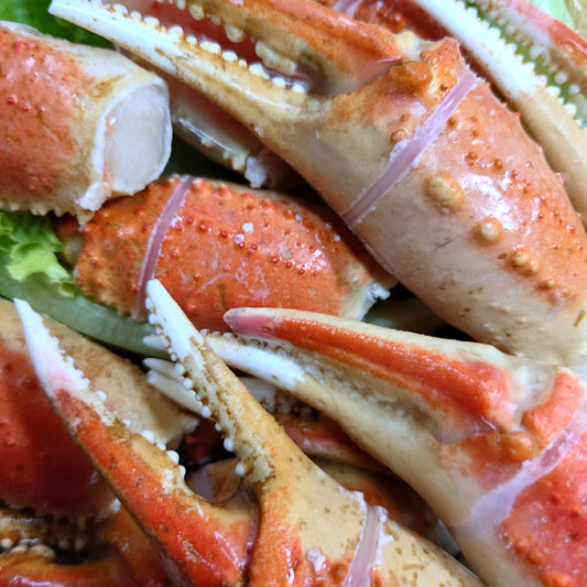 ズワイガニ爪 ボイル 1kg 16/20 ビッグサイズ 殻付筋目入り