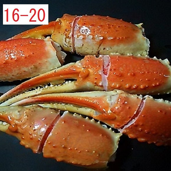 ズワイガニ爪 ボイル 1kg 16/20 ビッグサイズ 殻付筋目入り