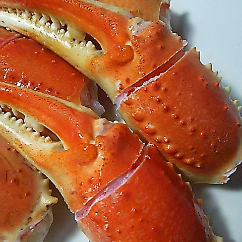 ズワイガニ爪 ボイル 1kg 16/20 ビッグサイズ 殻付筋目入り