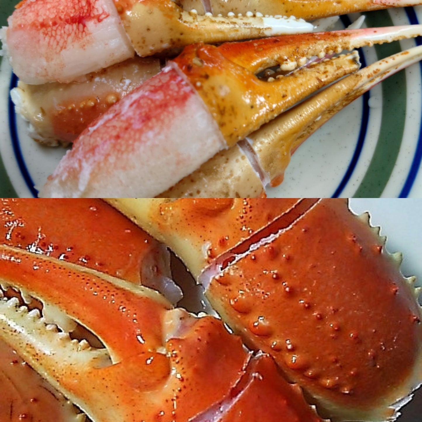 ズワイガニ爪 ボイル 1kg 16/20 ビッグサイズ 殻付筋目入り