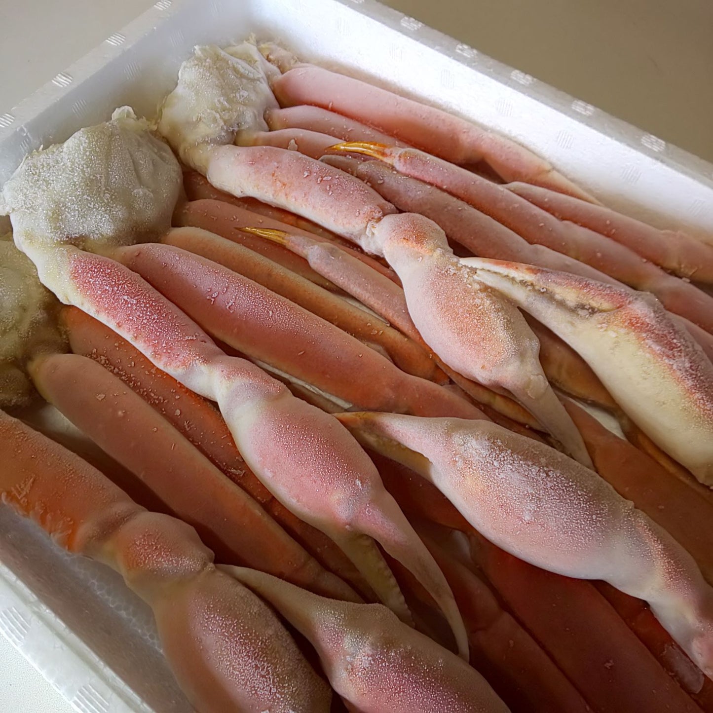 ボイルズワイガニ 2kg 4Lサイズ 6肩 化粧箱入り