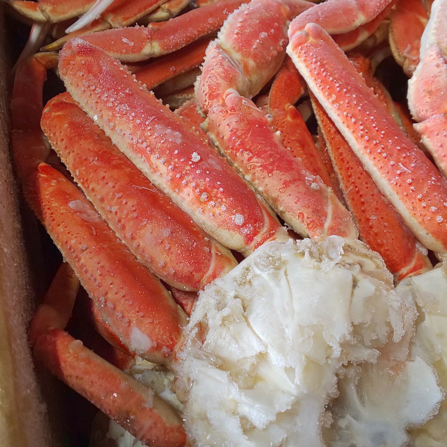 ボイルズワイガニ 5kg カニ食べ放題 オピリオ種 3Lサイズ