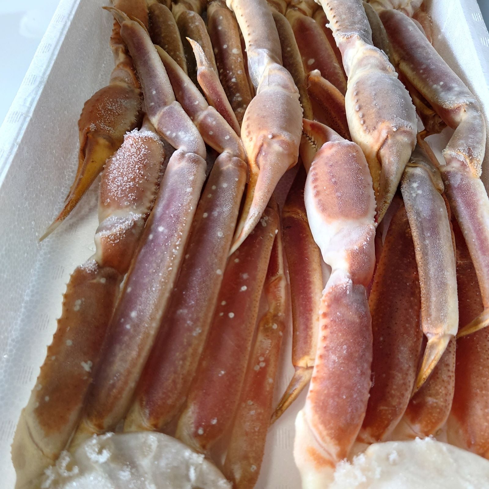 未加熱冷凍】ズワイガニ 2kg 5L 5肩 化粧笥入り｜かにの専門店みやこ