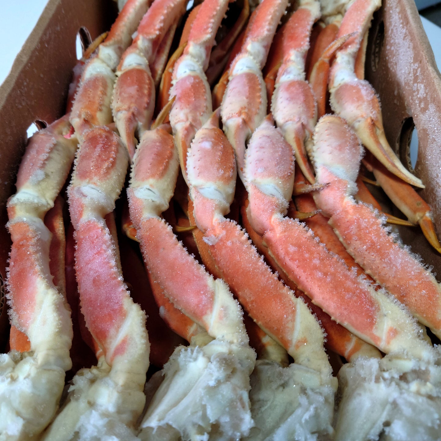 ボイルズワイガニ 5kg 食べ放題 オピリオ種 3Lサイズ