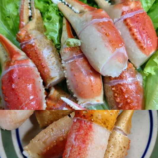 ズワイガニ爪 1kg 26/30 粒揃い 殻付筋目入り