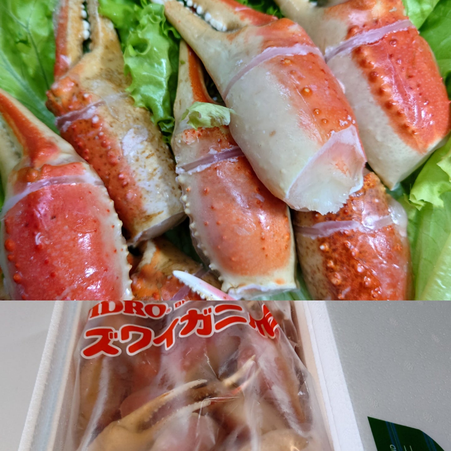ズワイガニ爪 1kg 26/30 粒揃い 殻付筋目入り