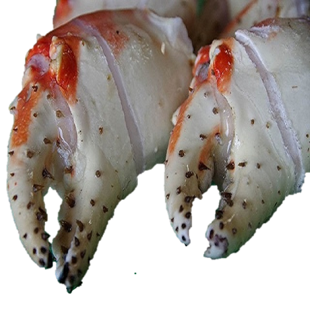 【かに専門店みやこ】タラバガニ爪 ボイル 1kg 16/20 殻付筋目入り｜1kgで個数多め・大人数のゴージャスに