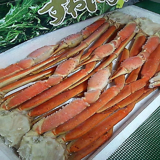 ボイルズワイガニ 2kg 4Lサイズ 6肩 化粧箱入り