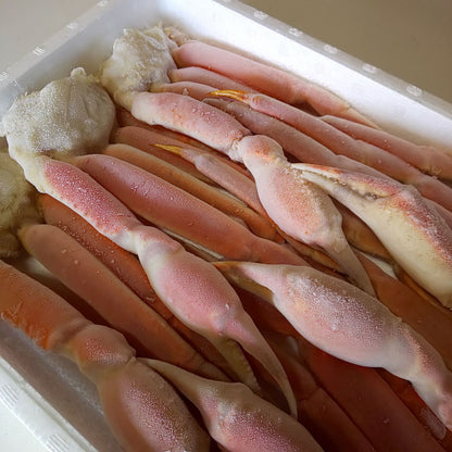 ボイルズワイガニ 2kg 4Lサイズ 6肩 化粧箱入り