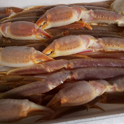 生冷凍ズワイガニ 2kg 5Lサイズ ５肩 化粧箱入り